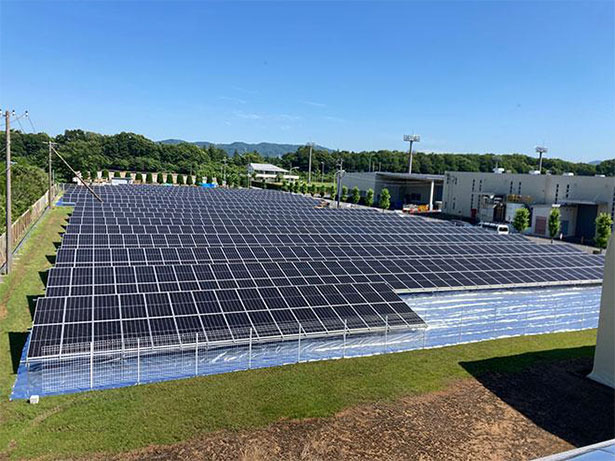 桜川工場の敷地内に設置した太陽光発電設備。年間使用電力の約25％をまかなう（出所：岩崎電気）
