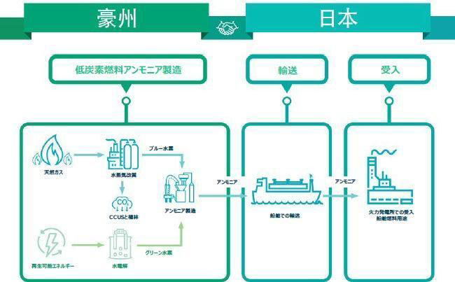 豪州―日本間の低炭素燃料アンモニアサプライチェーン概念図（出所：石油天然ガス・金属鉱物資源機構）