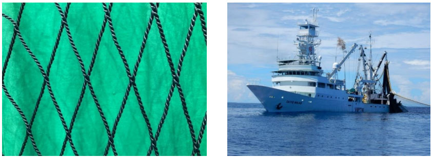 （左）「漁網 to 漁網リサイクル」でつくる漁網、（右）リサイクル漁網を使用する予定の海外まき網漁船「Taiyo Waab（タイヨウ ワーブ）」（出所：東レ）
