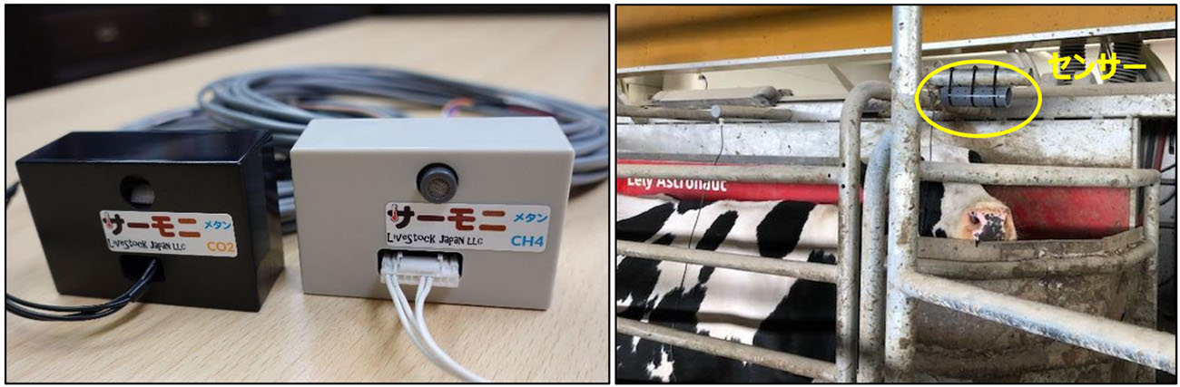 （画像左）「サーモニ メタン CO2 プラス」専用センサー、（画像右）搾乳ロボットへの取り付け例