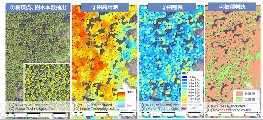 衛星画像を活用した森林解析例（出所：NTTデータ）