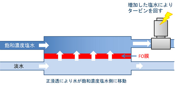 浸透圧発電の仕組み（出所：東洋紡）