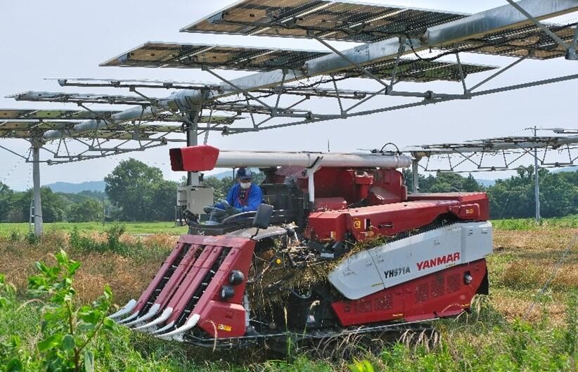 「ノータスソーラーシステム」を使用した営農型太陽光発電所（出所：戸田建設）