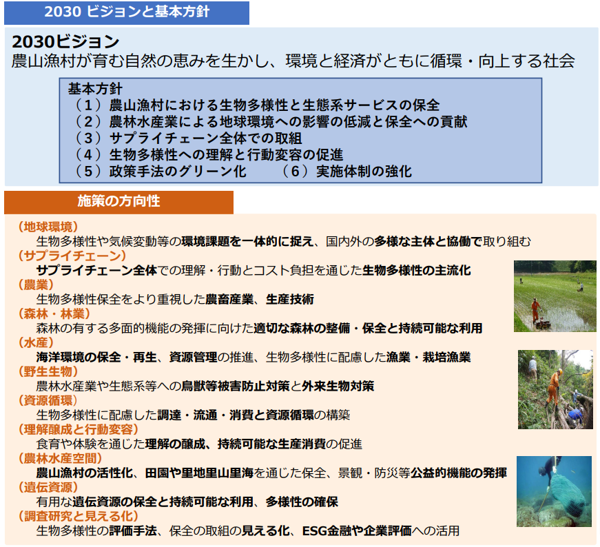 新たな農林水産省生物多様性戦略の概要（2023年3月改定）（出所：農林水産省）