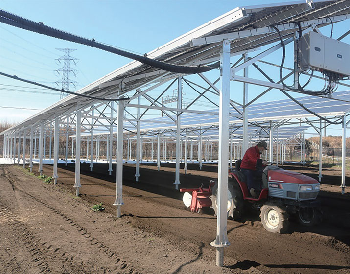 両面パネルを採用し発電効率と農作物の生育の両立を図る