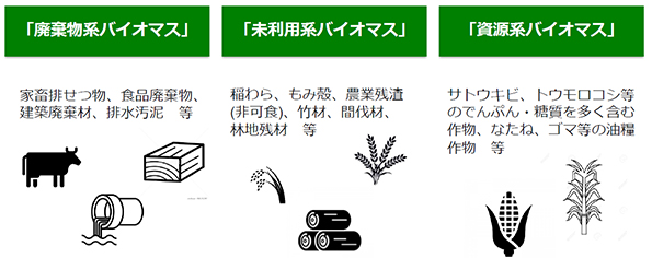 「廃棄物系バイオマス」や「未利用系バイオマス」に課題を抱える地方自治体は多い