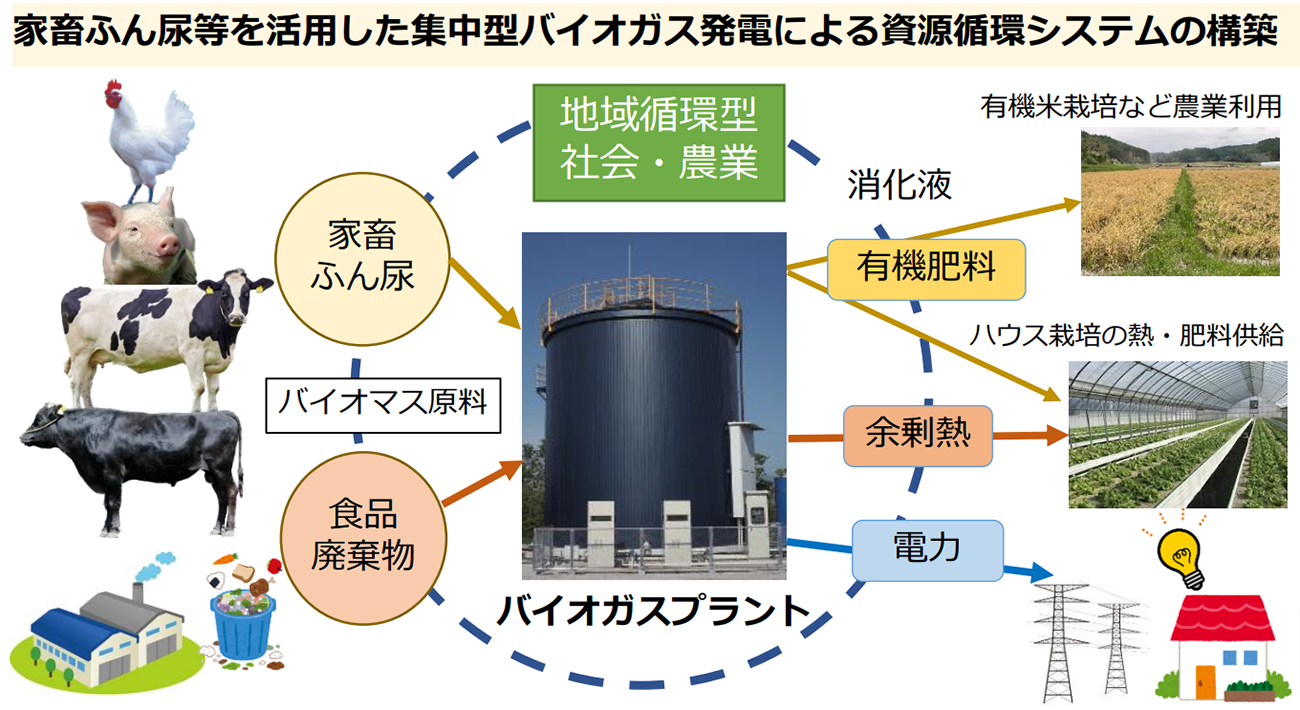 （出所：宮崎県）