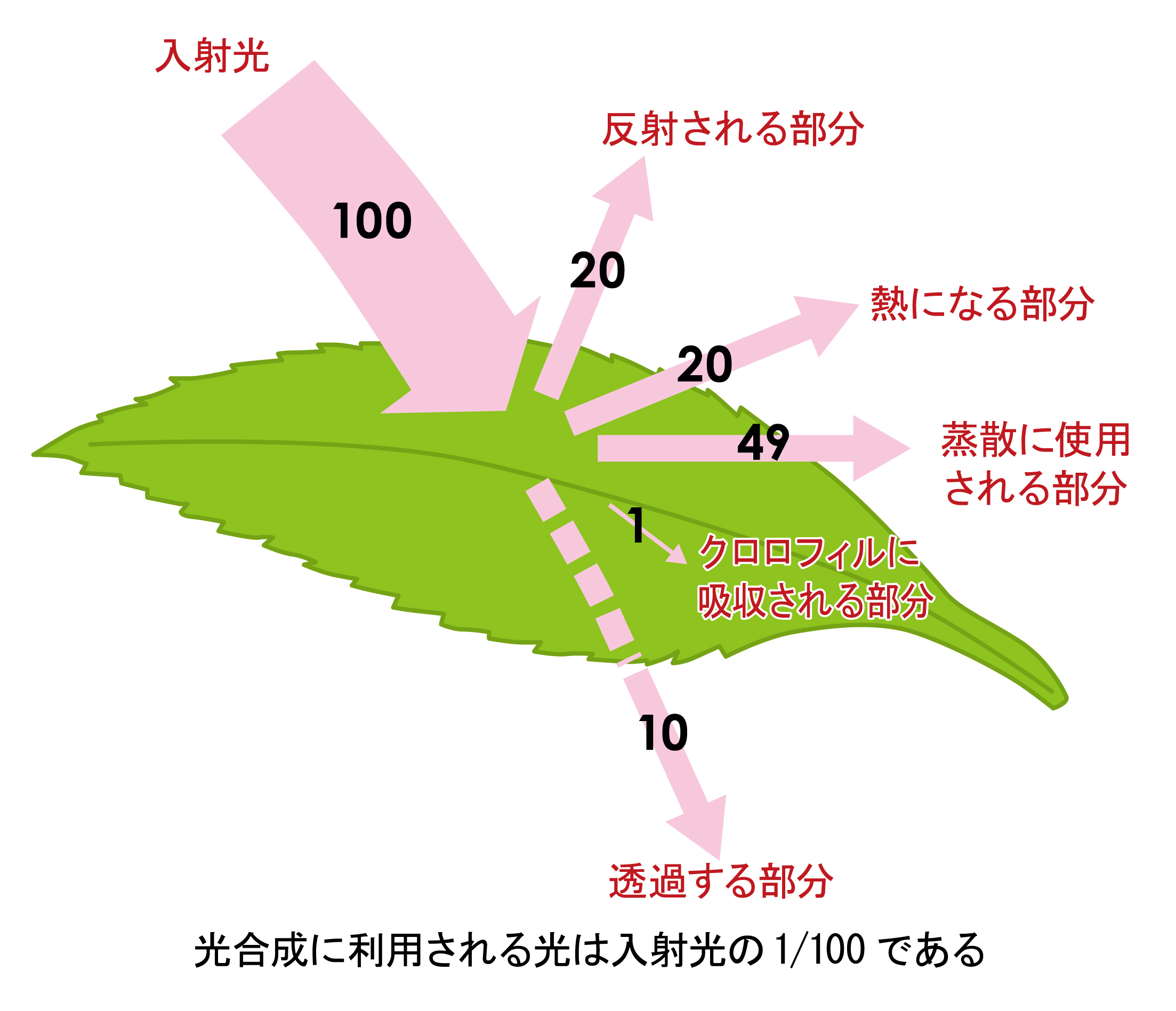 図3入射光と光エネルギーの収支