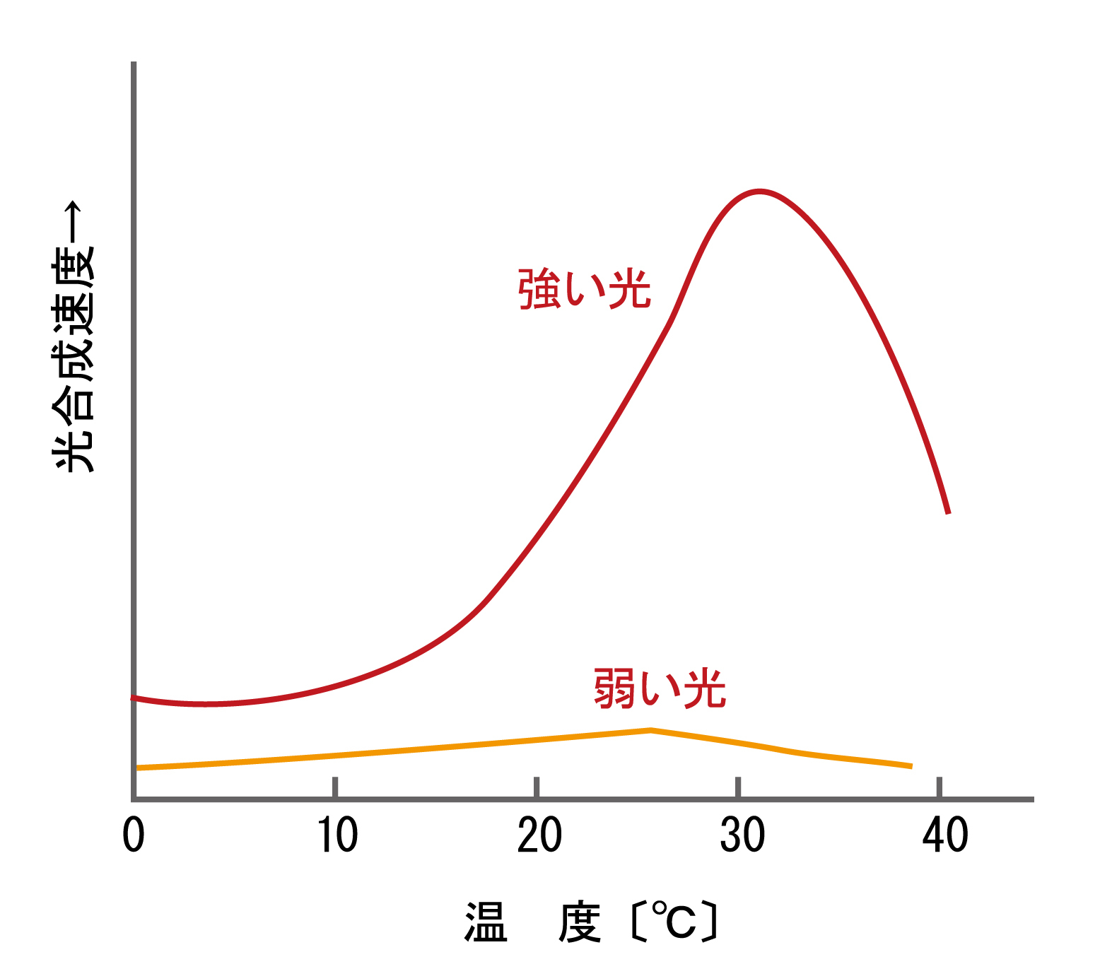 図1温度・光と光合成速度