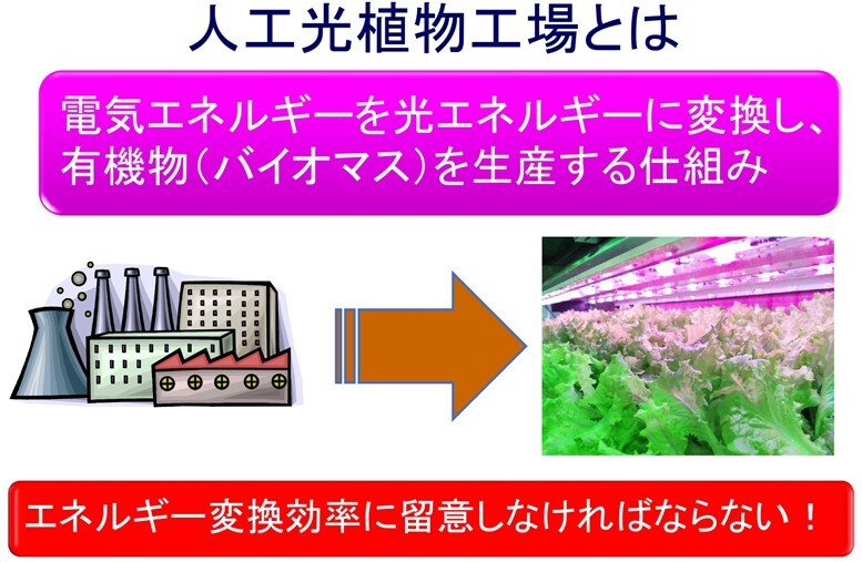図2人工光植物工場のエネルギー工学的概念
