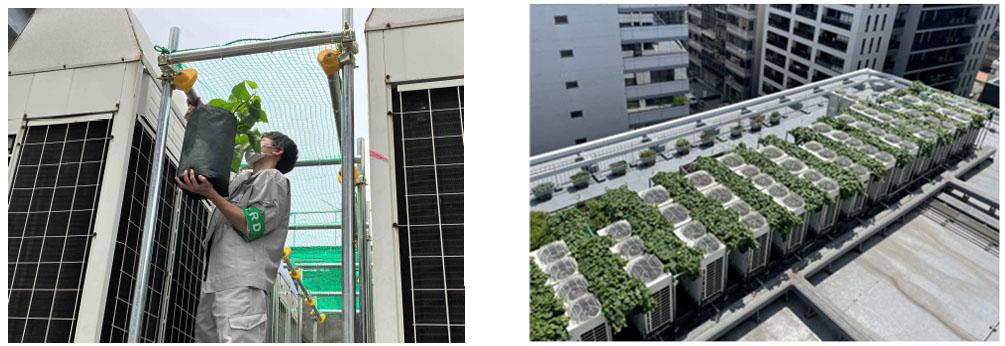 （画像左）6月4日に実施した 「渋谷スクエアA」での植え付けの様子、（画像右）「ウノサワ東急ビル」屋上（出所：東急不動産）