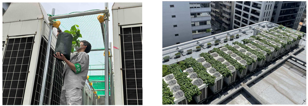 (画像左)6月4日に実施した 「渋谷スクエアA」での植え付けの様子、(画像右)「ウノサワ東急ビル」屋上(出所:東急不動産)