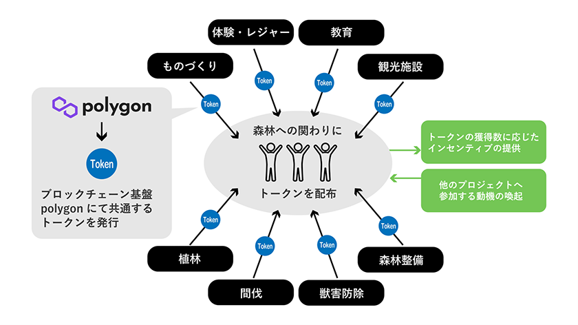 トークンを介して領域を跨いだ森林プロジェクトの活性化（出所：TIS）