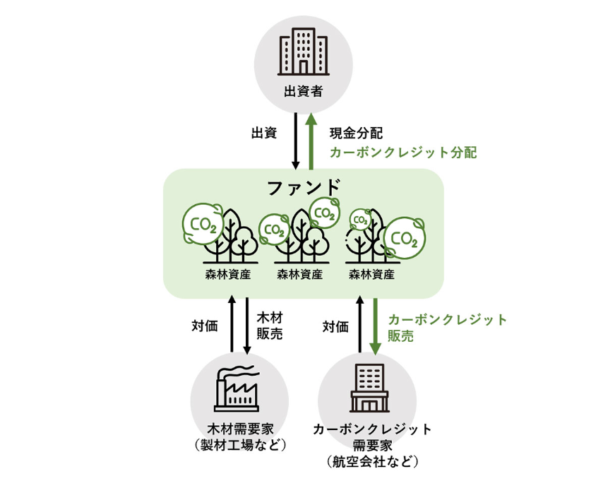 (出所:住友林業)
