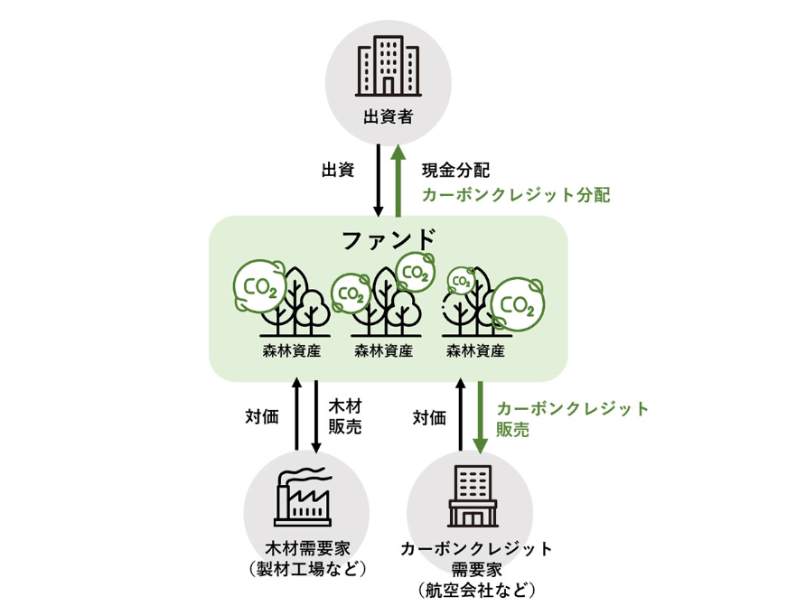 （出所：住友林業）