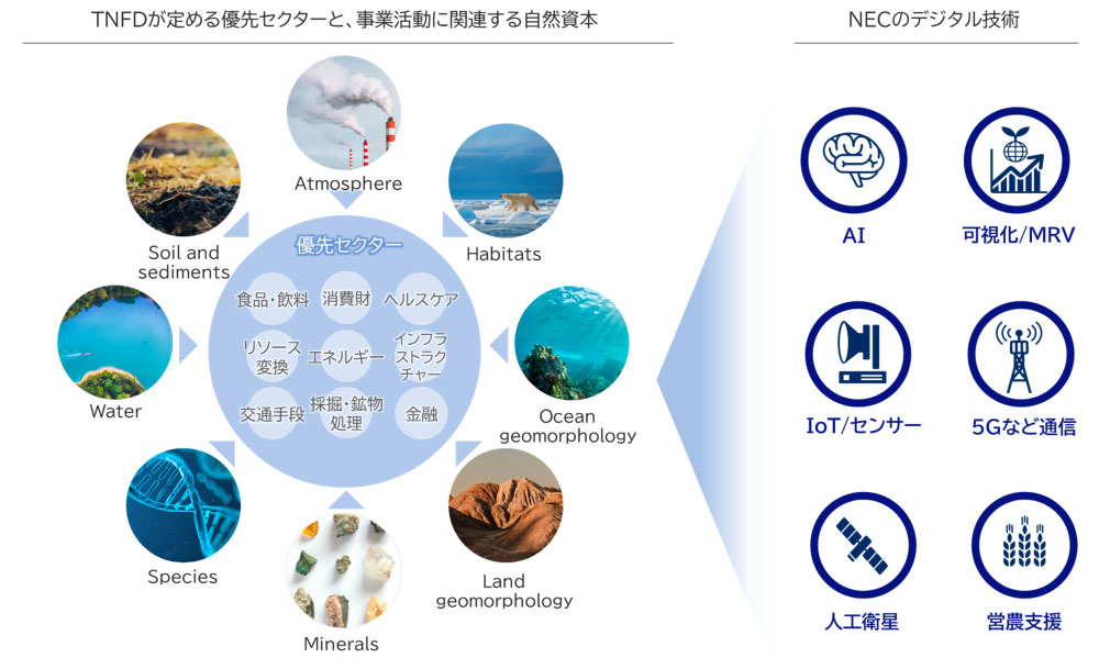 (出所:NEC)