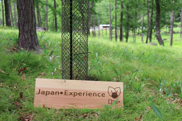 （出所：日本旅行）