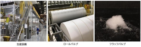 (出所:大王製紙)
