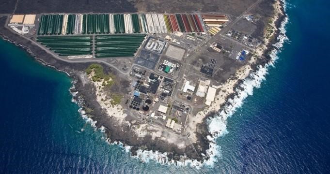 Hatch社がハワイ島に拠点を構えるNELHA（Natural Energy Laboratory of Hawaii Authority：ハワイ州立自然エネルギー研究所）