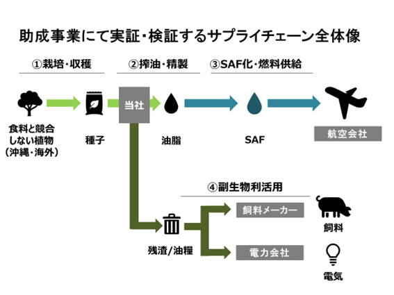 （出所：J-オイルミルズ）