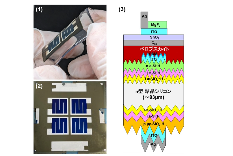 （1）フレキシブルなペロブスカイト／シリコンタンデム太陽電池、（2）タンデム太陽電池の外観、（3）タンデム太陽電池の概念（出所：東京都市大学）
