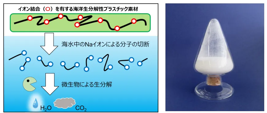 イオン結合を有する海洋生分解性プラスチック素材の生分解機構のイメージ（左）と開発材からなる生分解を促進する樹脂添加剤（右）（出所：日清紡HD）