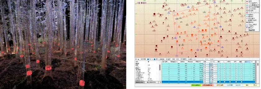 OWLでの計測の様子（出所：丸紅）