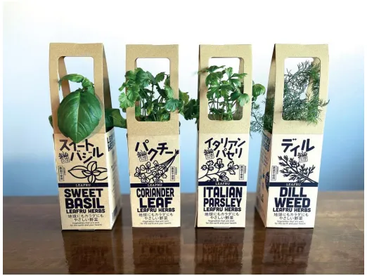 「LEAFRU HERBS」販売品目4種(出所:ヨークベニマル)