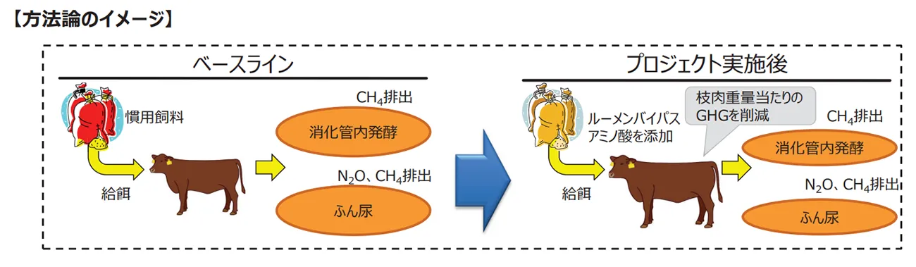 方法論のイメージ（出所：第32回J－クレジット制度運営委員会資料（抜粋））