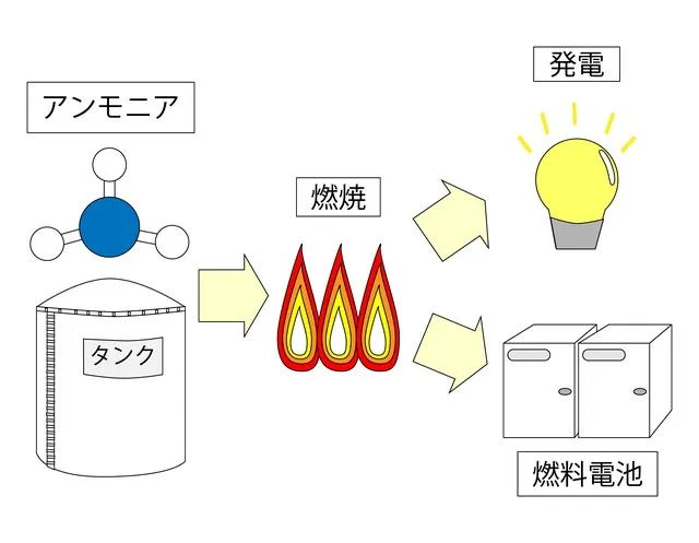 画像はイメージです