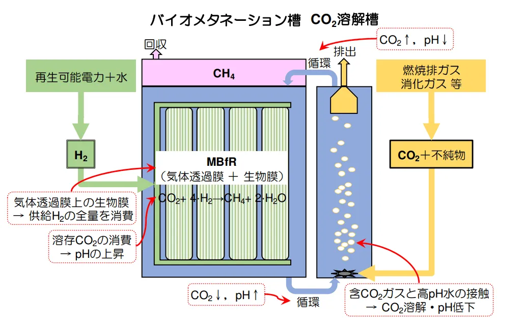 二酸化炭素回収・利用一体型バイオメタネーションの仕組み（出所：西松建設）