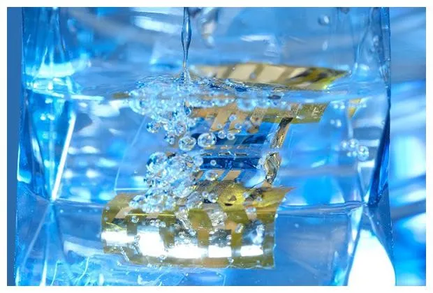  水中でも長時間駆動する超薄型有機太陽電池（出所：理化学研究所）
