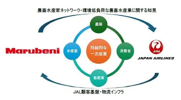 事業概要図（出所：日本航空）