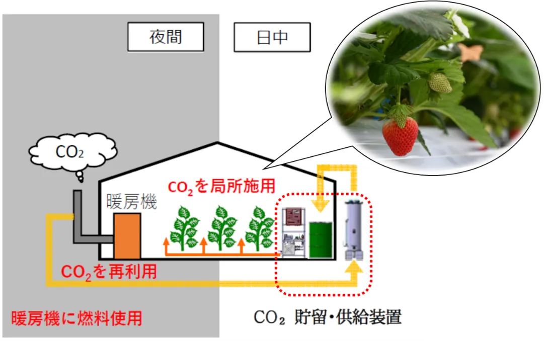 農業用ハウスの暖房機から排出されるCO2を有効利用するシステムイメージ（出所：戸田建設）