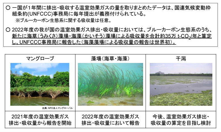 我が国のブルーカーボン生態系による温室効果ガス排出・吸収量の報告状況（出所：国土交通省）