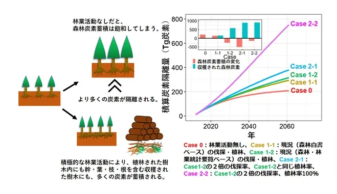 (出所:静岡大学)