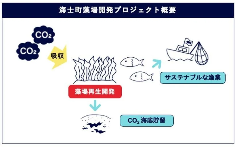 プロジェクト概要図解（出所：フーディソン）