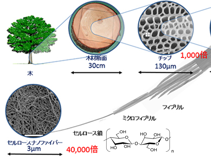 cellulose OGP