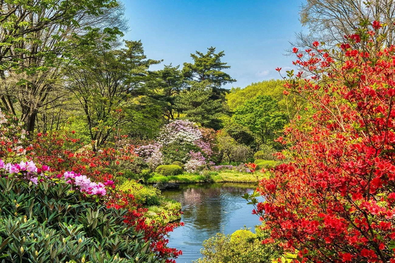 「赤城自然園」の様子（出所：クレディセゾン）