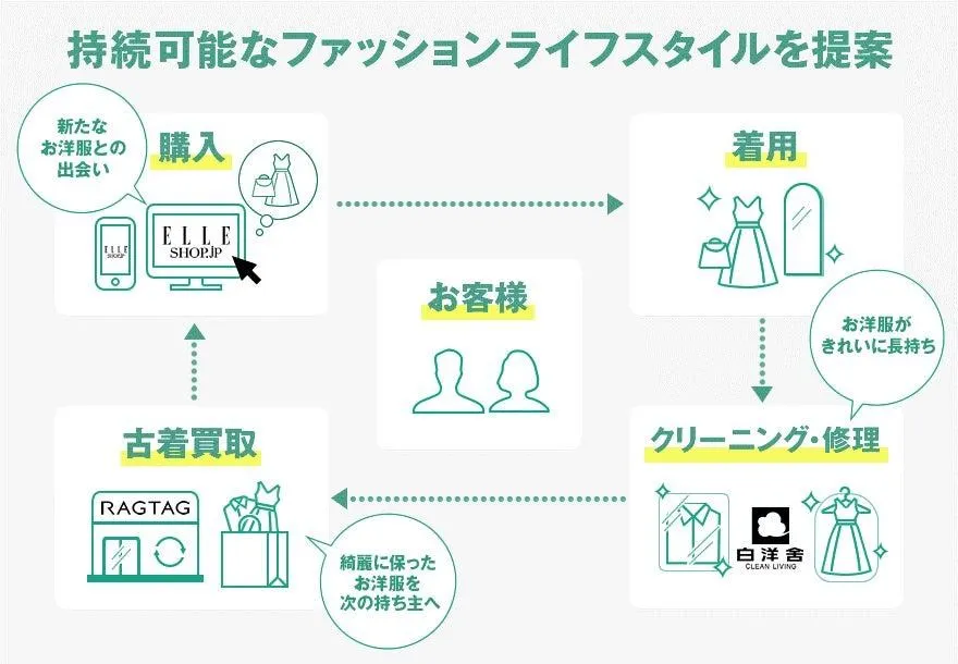 (出所:白洋舍)