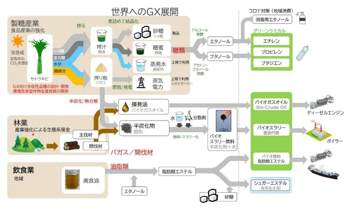 課題の概要図(出所:DM三井製糖)