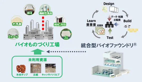 未利用資源を活用した「バイオものづくりエコシステム」（出所：王子ホールディングス）