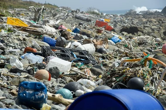 海岸に流れ着いたプラスチックのゴミ(出所:PIXTA)
