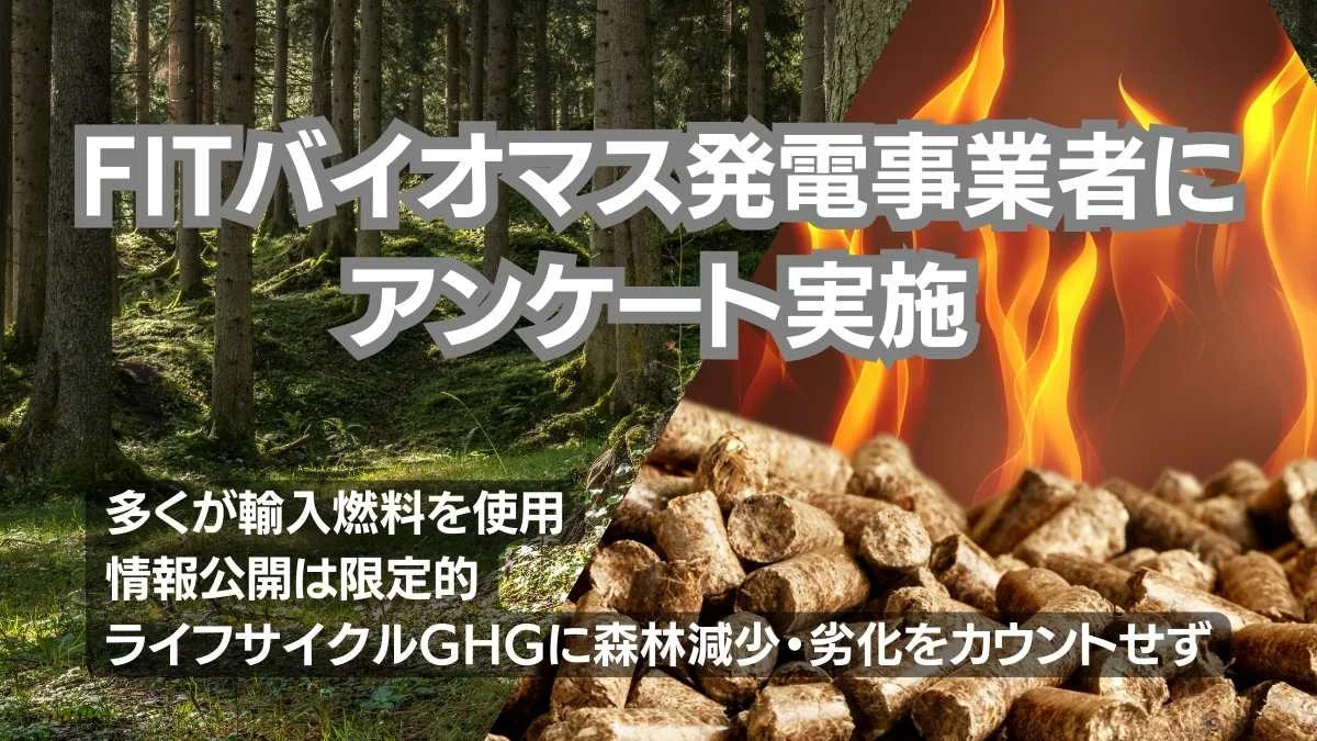 (出所:FoE Japan)