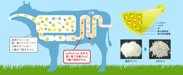 AjiPro-Lの特長(出所:味の素)
