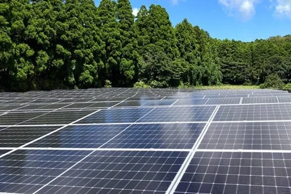 今回のバーチャルPPAで活用する太陽光発電設備（出所：ヤンマーホールディングス）