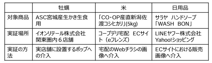 実施概要(出所:環境省)