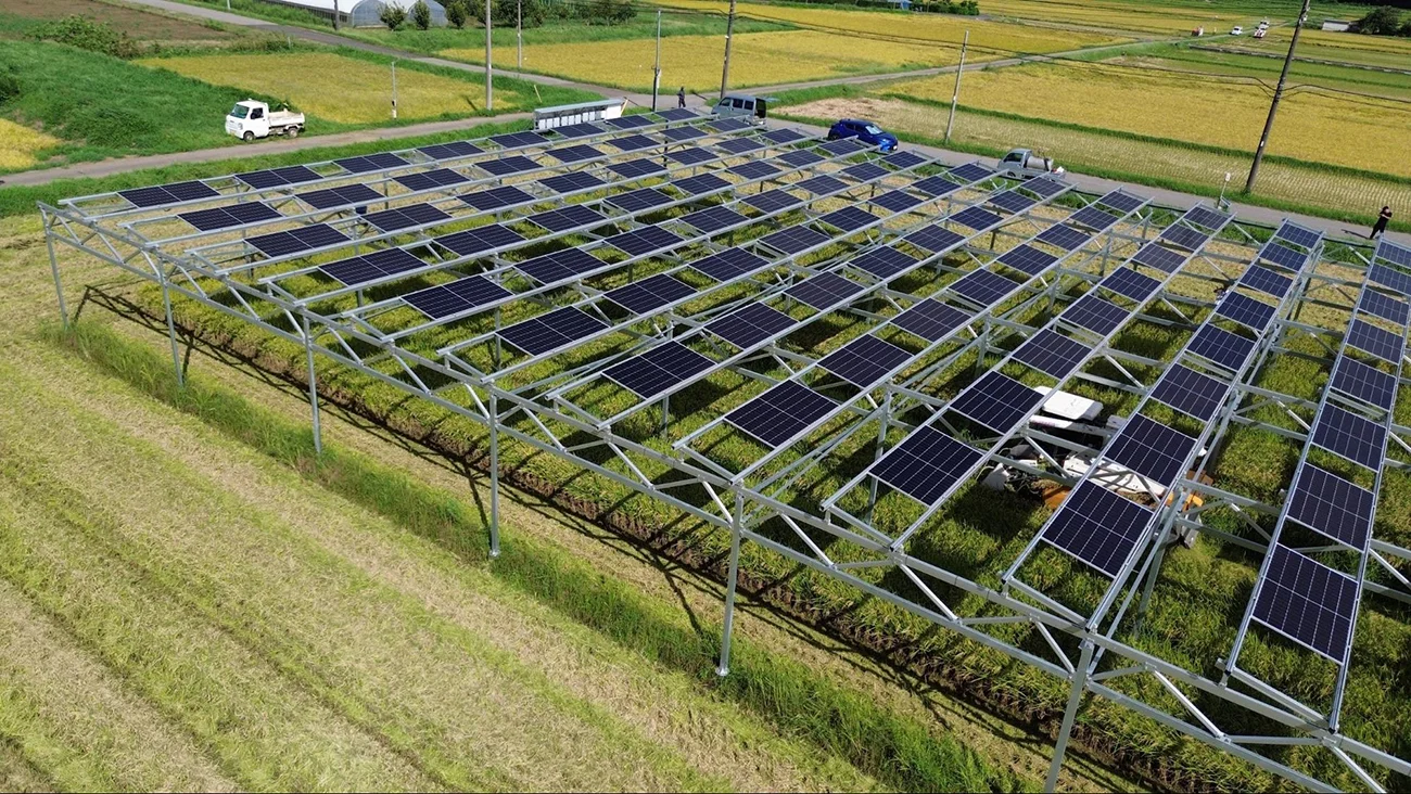 設置した営農型太陽光発電設(出所:TNクロス)