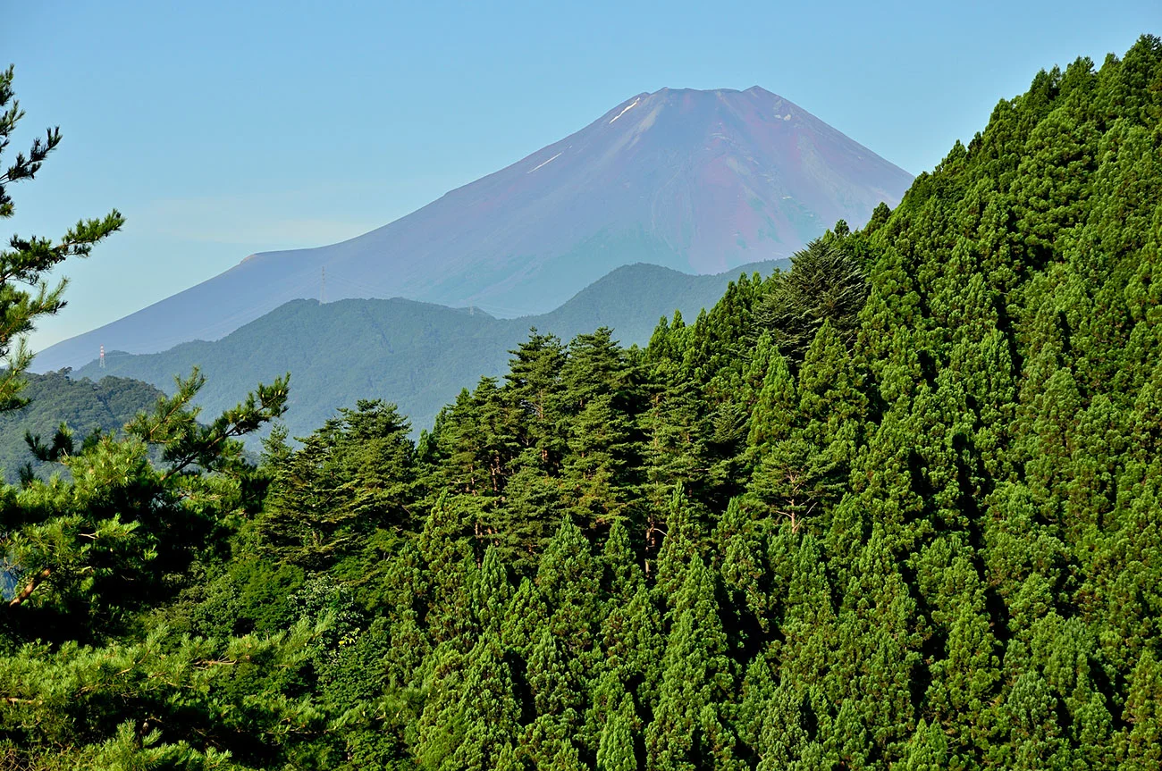 山梨県の豊富な森林を活かす（写真は赤鞍ヶ岳から望む富士山／出所：PIXTA）