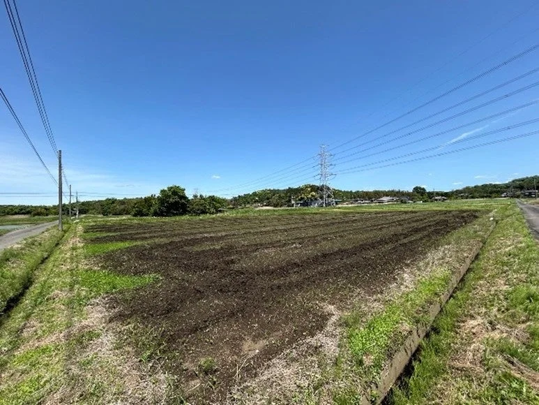 実証圃場の様子(出所:松屋フーズ)